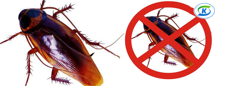 商超、連鎖業(yè)蟲(chóng)害防治(圖10)